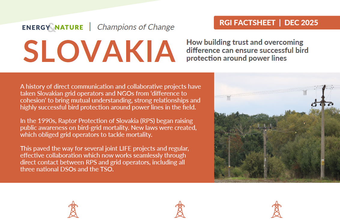 CASE STUDY FROM SLOVAKIA PRESENTED IN THE FACTSHEET CHAMPIONS OF CHANGE BY RGI
